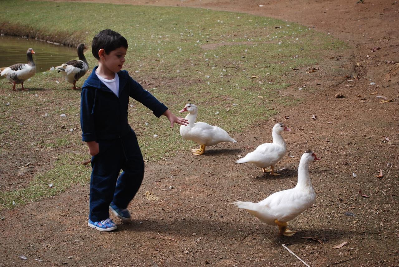 Pousada Quinta Dos Doges Valenca  Esterno foto